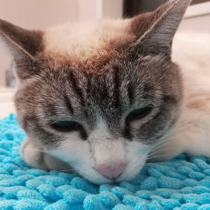 E365c907 1bf9 45ce b4cf e05b46a8bea3 1522936238983