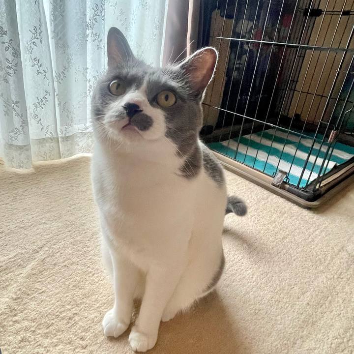 E365ca6a 1e36 40f3 8a15 36e2667f7894 1687051509828