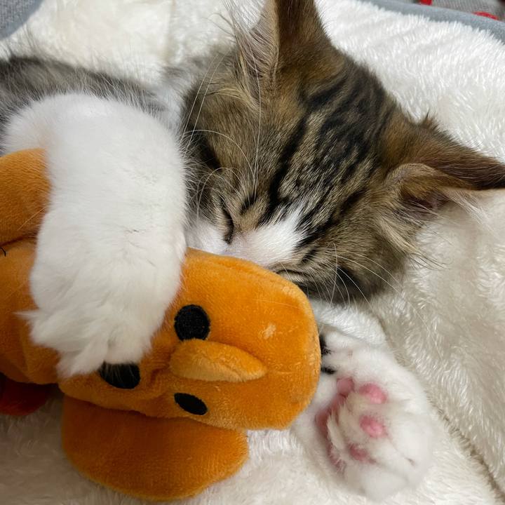 E365da06 bfba 459f b1d0 d4d70d59562a 1632996081057