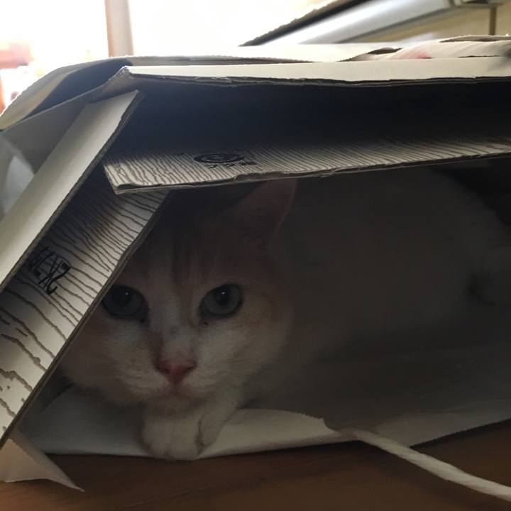 E366111f 3bfe 4864 99b3 d9aa28d071c1 1535856990863