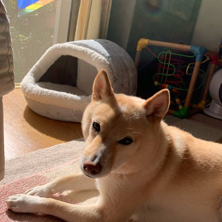 E36656cf 652e 4145 a41d 3ec884b5135f 1637113856419