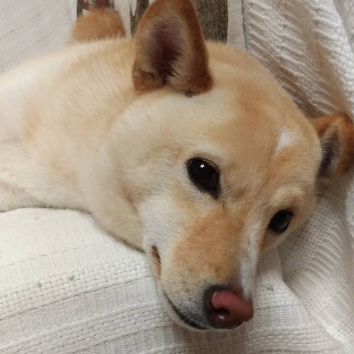 E36685f7 f653 4135 bd80 9c03b43fdbd7 1529973656980