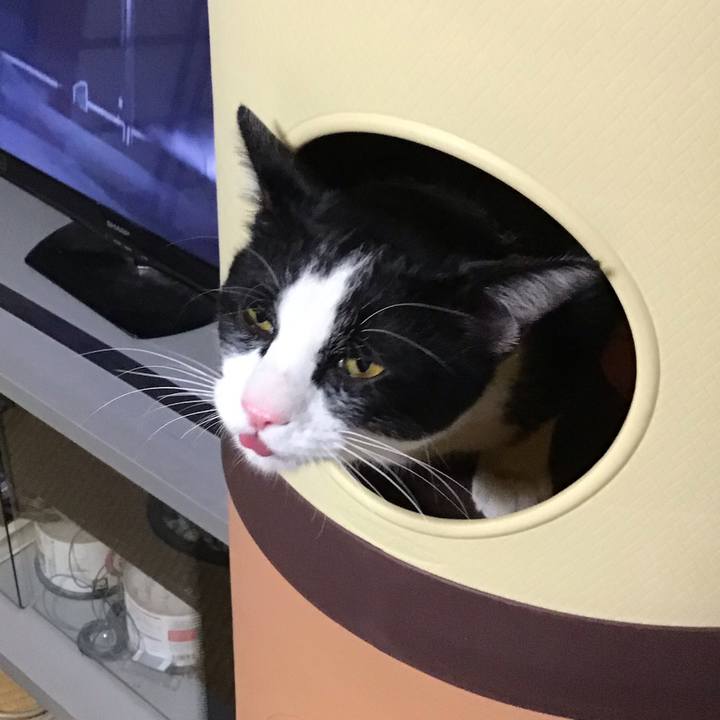 E366a358 e168 439e a86a 39df197d806d 1647249938776