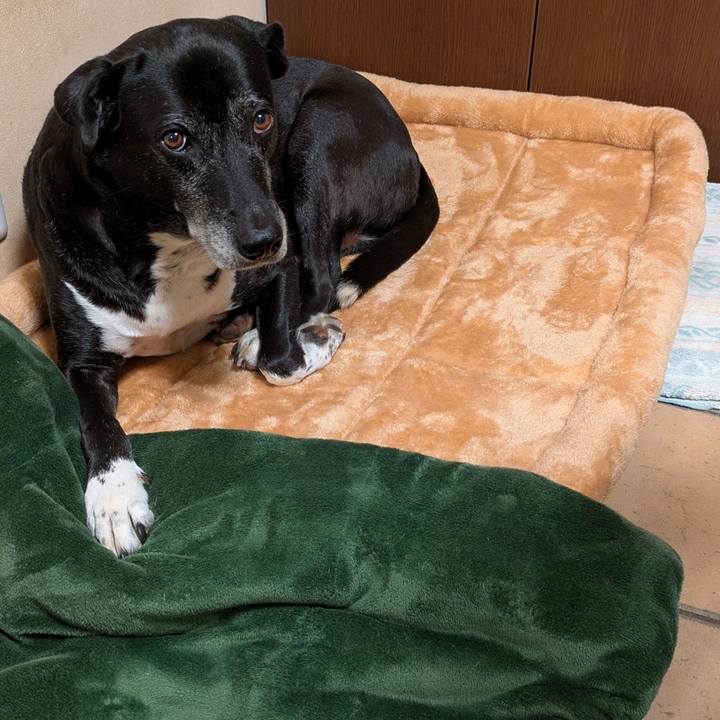 E366c7a8 d3aa 446b beac 788d1766c2ff 1764327923441