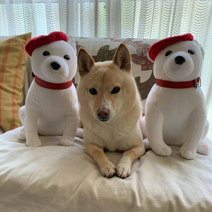 E3670e84 18e9 44b8 9739 d8f9ca99e12e 1619913668101