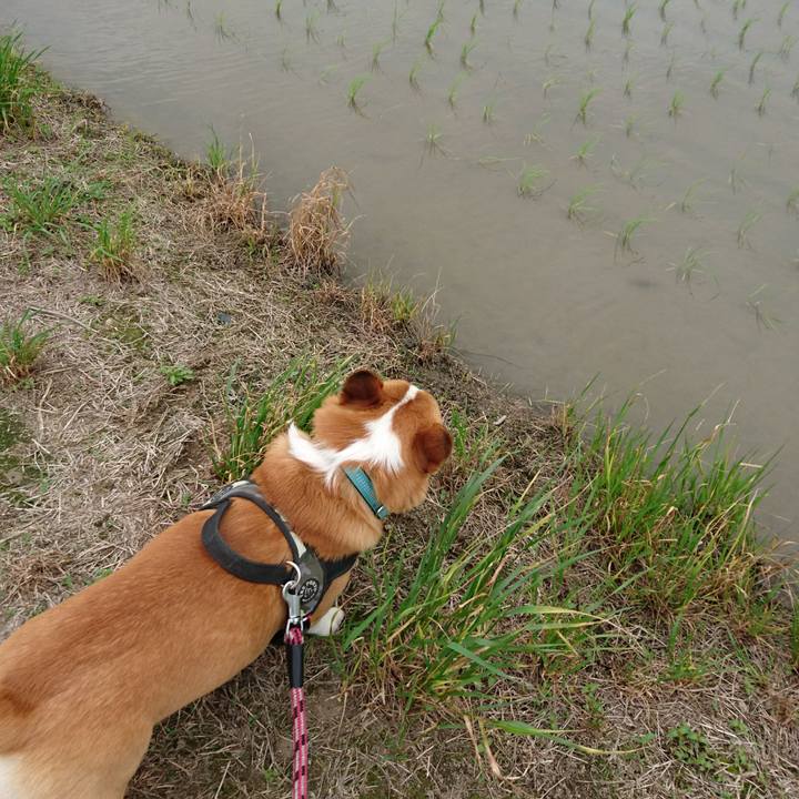 E36747b4 96e5 4410 ace7 1f4697697c17 1621140720748