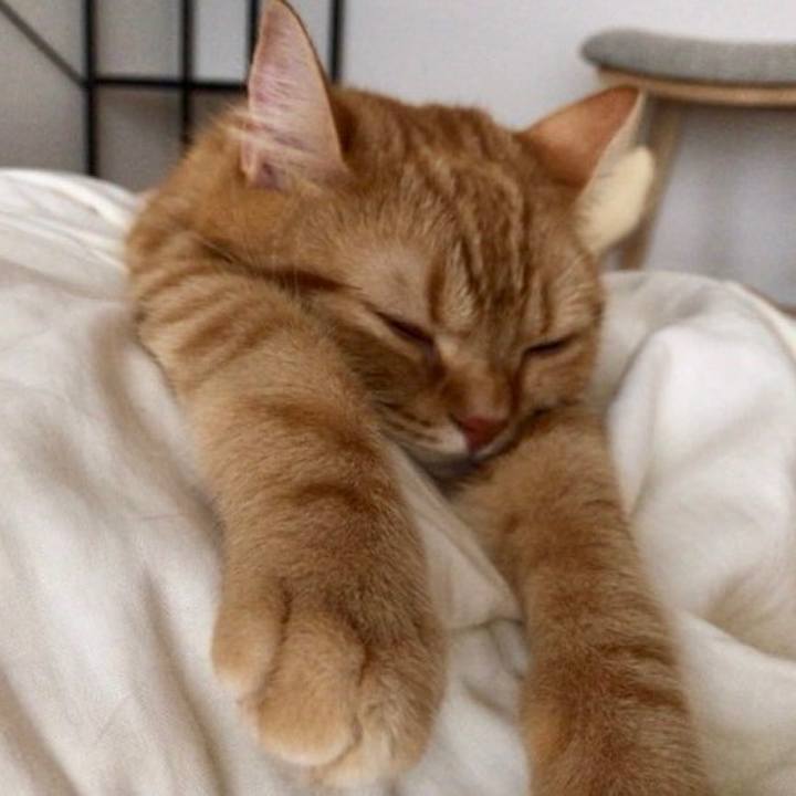 E3675546 282c 414c ad7f 0ccf6ec028f2 1532130168502