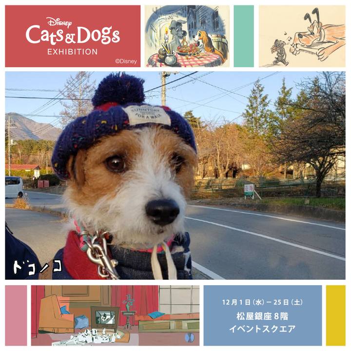 E367750c 1a64 4427 8b96 e09175e90cd2 1638333055379