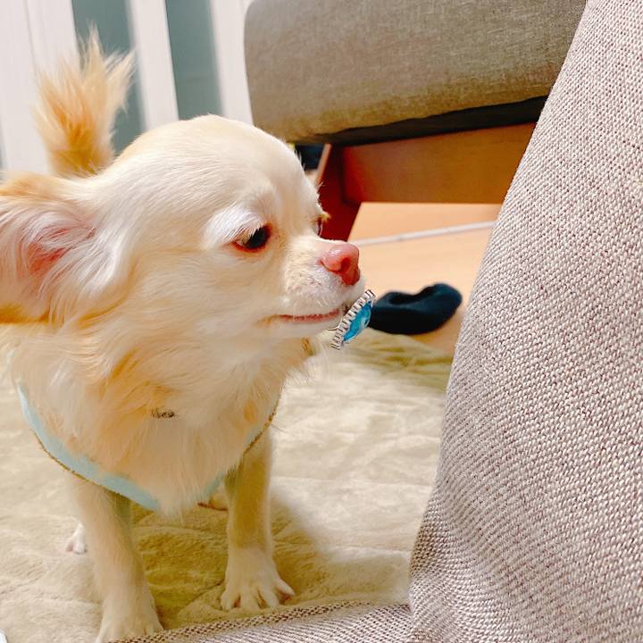 E3677c05 df81 455f ab2b 059f6a369a4c 1640244481262