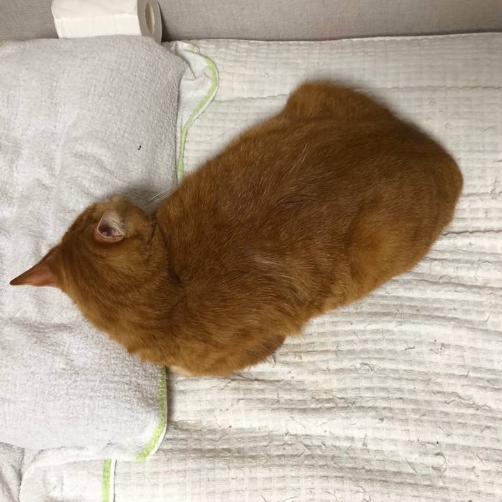 E367886b 13ad 4eb3 b49b 623265c36563 1598880198798