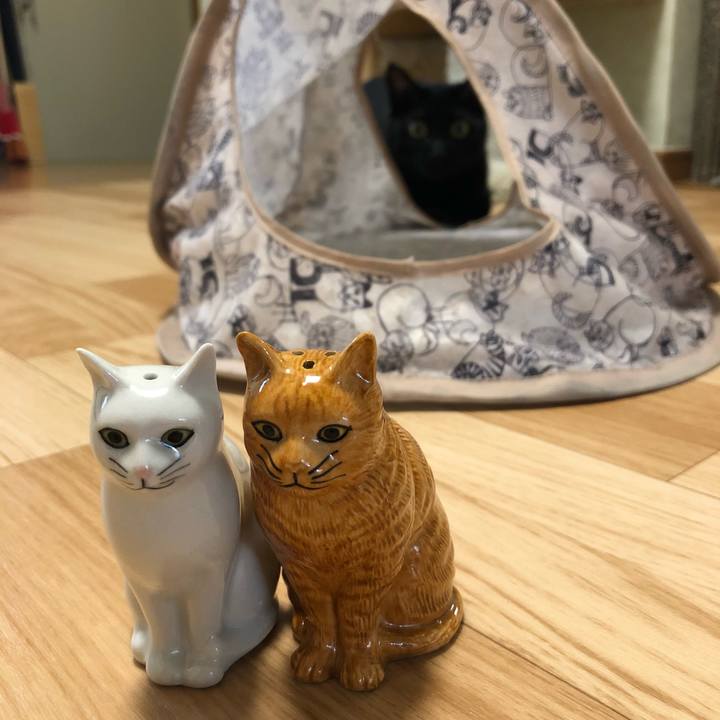 E367a26d d381 4af4 b774 5f288e1afb5b 1530598459822