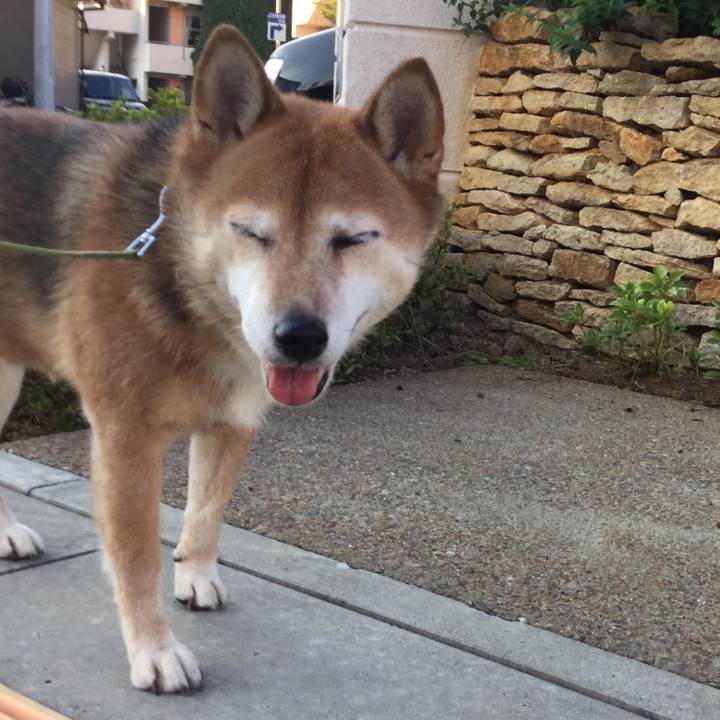 E367c56d 997b 4b48 a1b9 ca88af4c9bc2 1630312465247