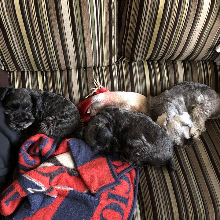 E367dbf3 4125 4afb 8ec7 9db4c8f73faf 1586317850291