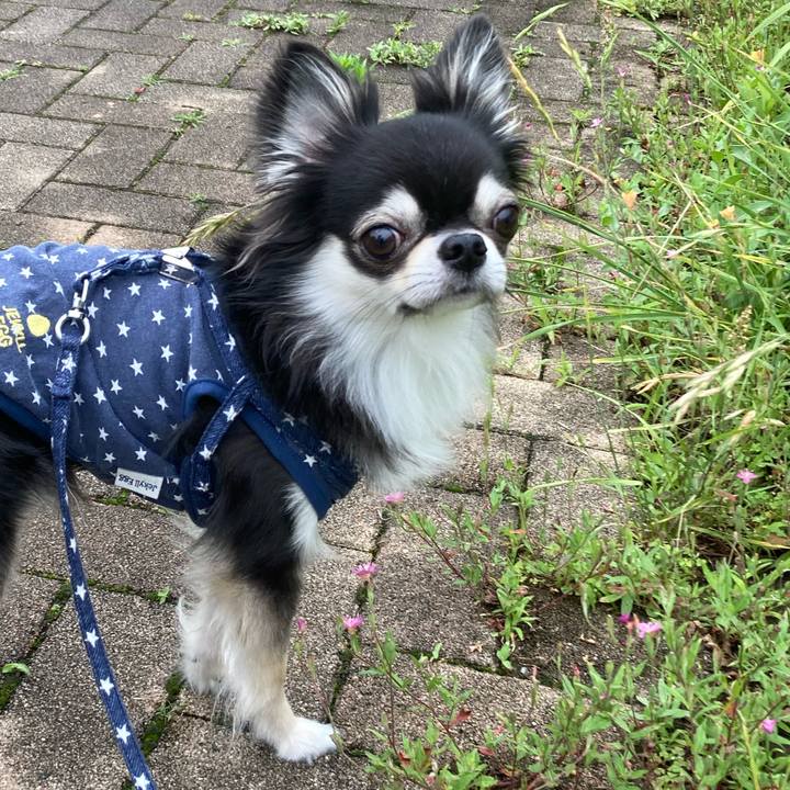 E367ddb8 73f3 4cf2 881e 32ea4d98a6b2 1654932985702