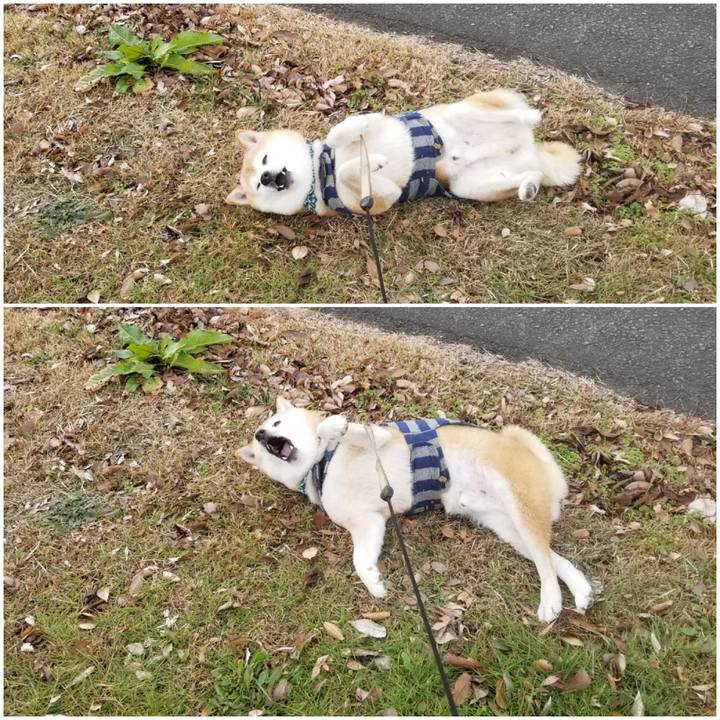 E36813c9 a8bb 44ce bef1 a20a56a3430a 1703049463449