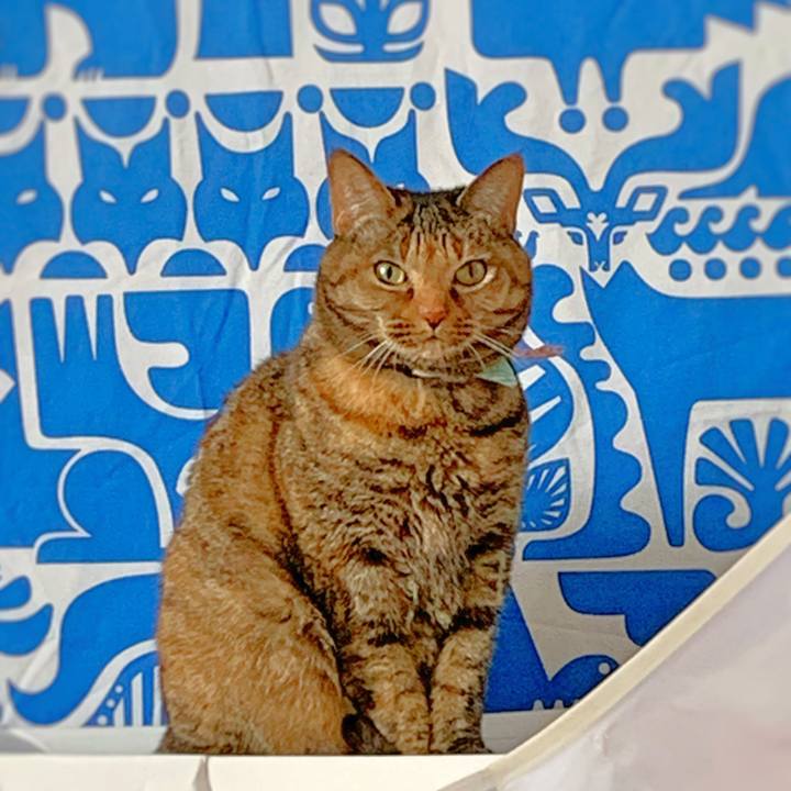 E36829df 73e9 462a 854f 60bc51653b19 1589672762277