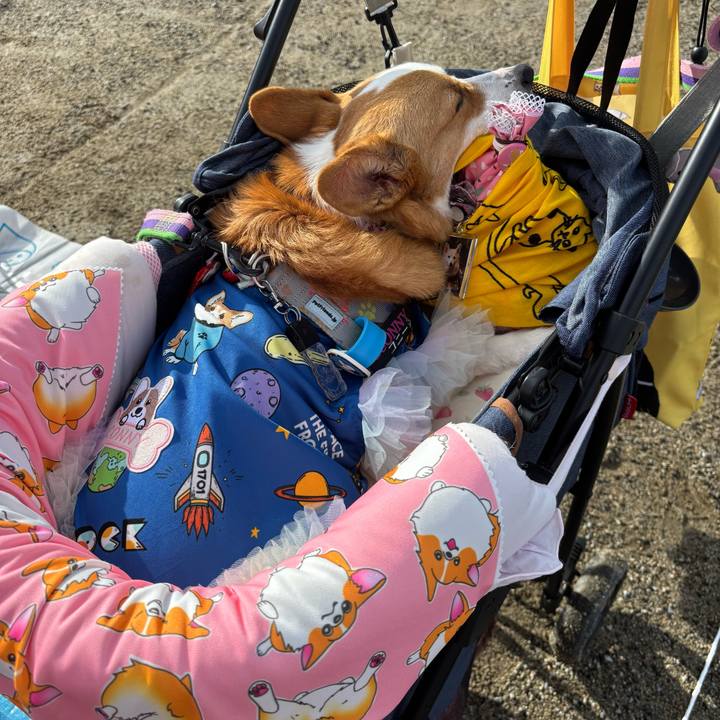 E36831b4 91b2 4d4f bf26 70e10a232363 1760225391926