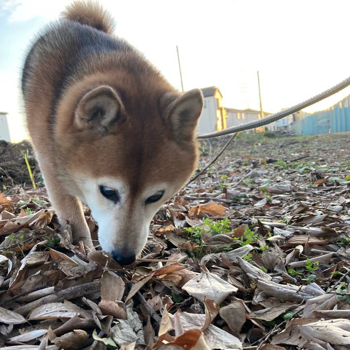 E3685f8e 3fe0 4457 9ef7 d70d23ae429a 1736842644624