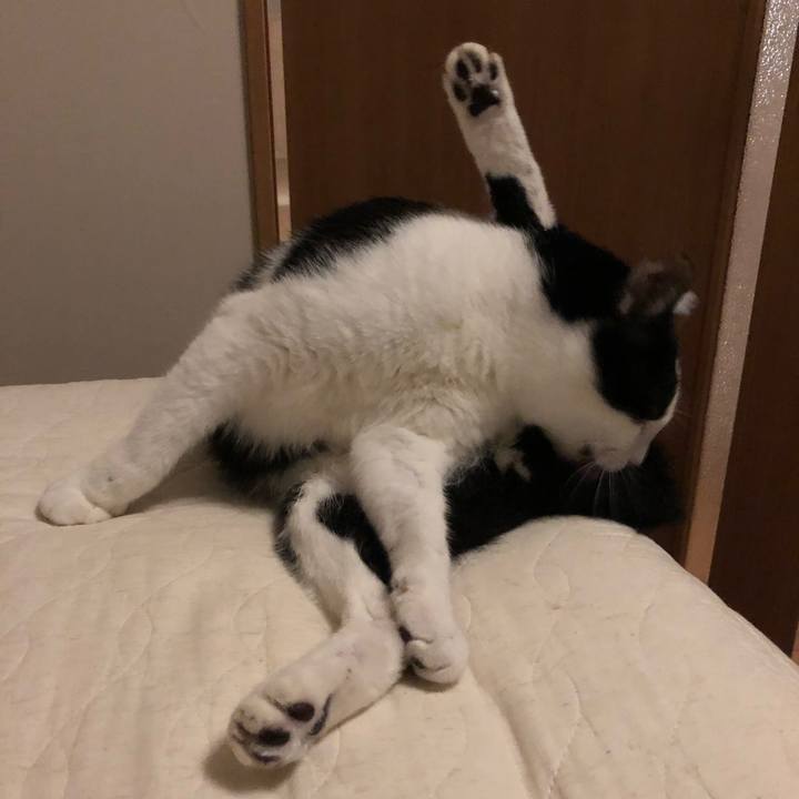 E3687bb3 9afd 426b b12e c692c9d0311d 1562347017483