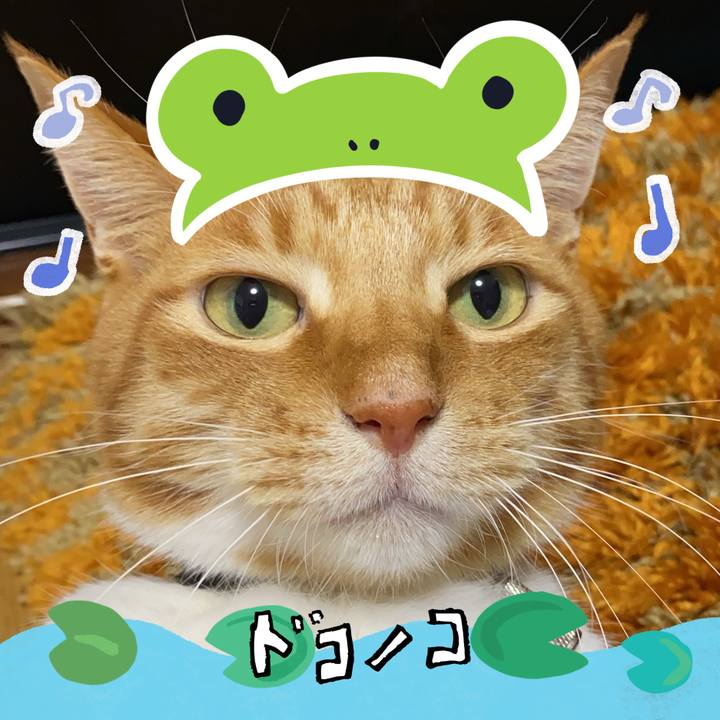 E368de9f 8794 4474 9294 522e87588e7b 1717811847659