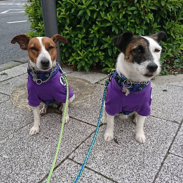 E368fb73 1cad 451a ac37 8781c2d74e26 1590878028988