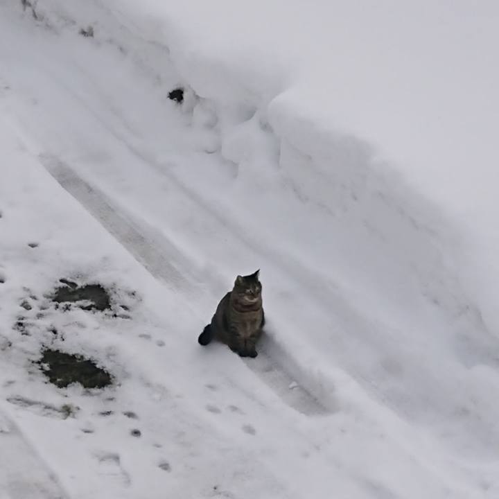 E3690b50 47ea 446a a3fc 797c034db15b 1642995603411