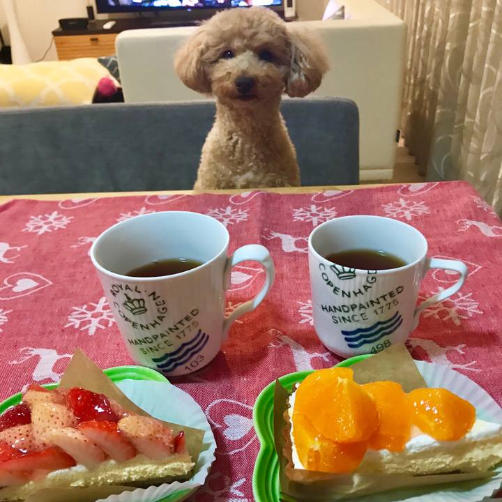 E3691508 7c4e 457c 96ce 8c8298d51c23 1552570082121