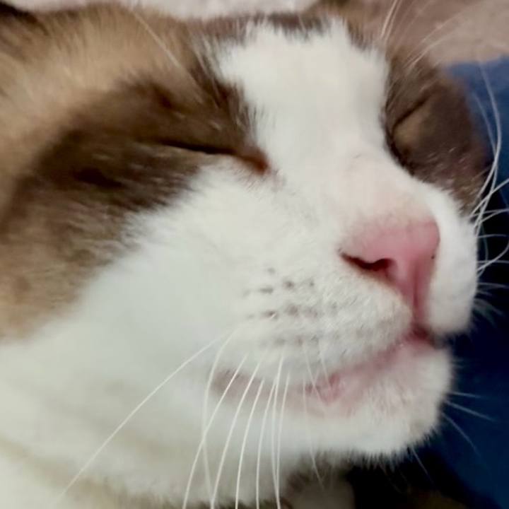 E369150b 4dfe 4b3c 8ba1 2829400aa6c2 1757814327437