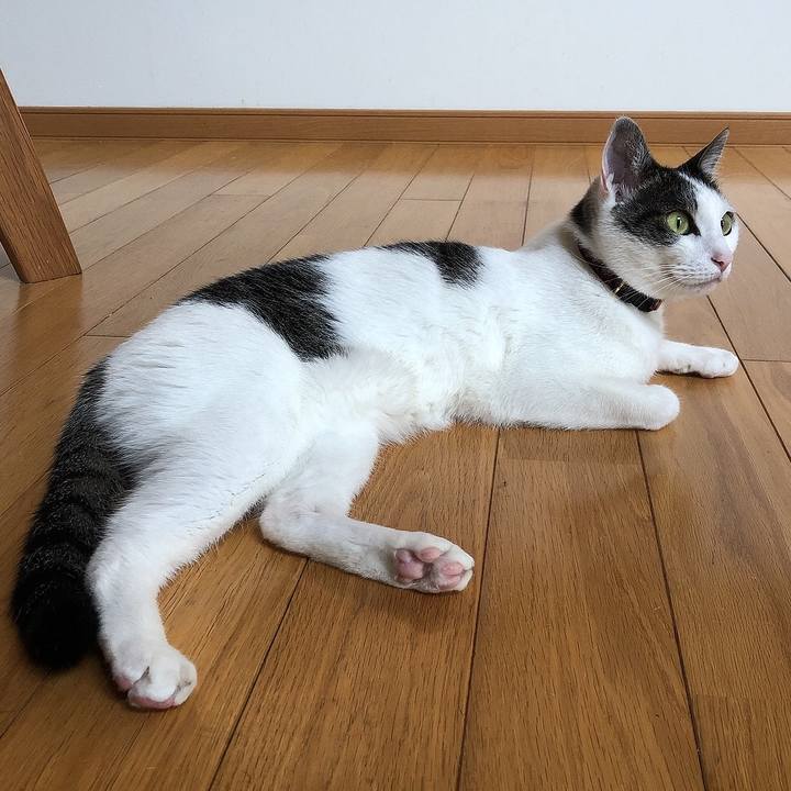 E3691e6a fc56 4ffe a8a2 7ce3b48cfe39 1656284128022