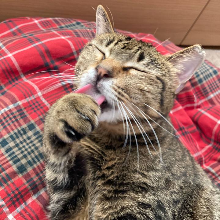 E3694116 cc73 4a86 8317 39d8514e53e2 1608445948361