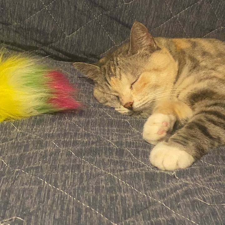 E3696554 418c 4d04 8327 deacbe960c38 1725686589568