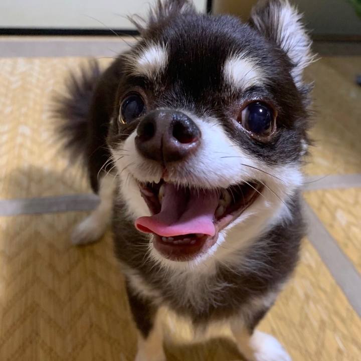 E3697133 9b12 4056 8991 47bb7b8c0523 1565230428164