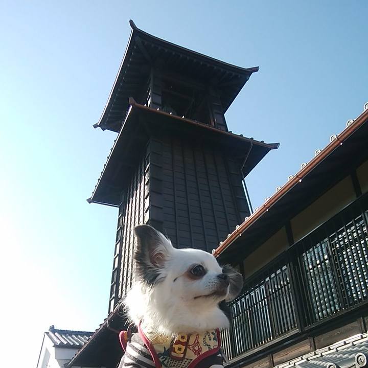 E3697240 75d5 4eb9 b96e d5a45204f7ac 1520682976157