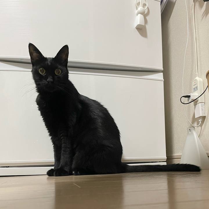 E3699fb4 2bd3 426b 85dd e7ae003a2925 1760359601960