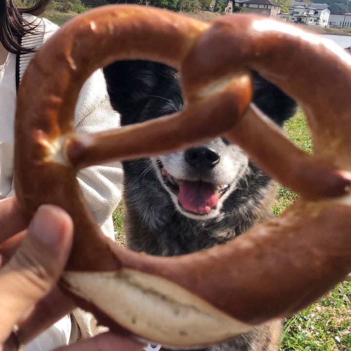 E369f147 6f1e 4dd0 823c c6caec68c4c2 1681637443324