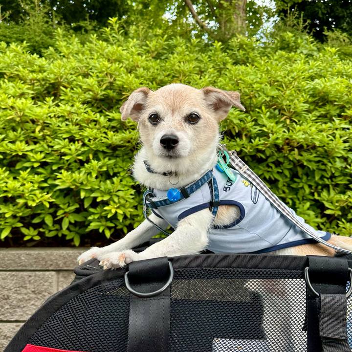 E36a0301 1129 4d4d 9c1c 6afbfe3c16d5 1752836738607