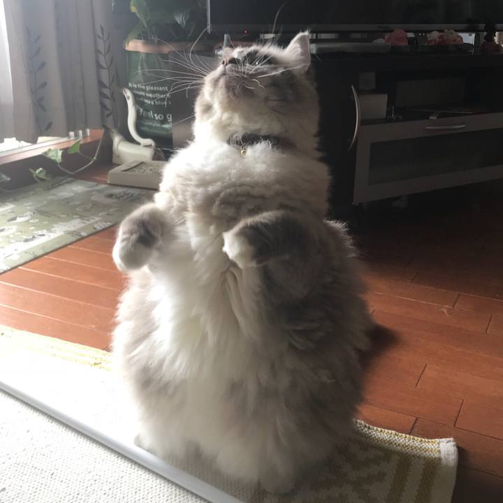 E36a386c e639 469f 847c c41d43c940b5 1533041270088