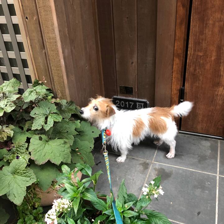 E36a4533 f432 4d33 aa78 6062b2b4a896 1604903404303