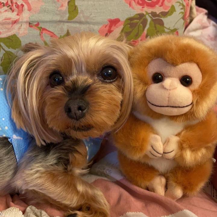 E36a5f31 06cd 48a5 ae49 a45637efb7f1 1654662654047