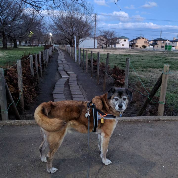 E36a64c8 f432 4105 a49f a45d34214e40 1552471232474