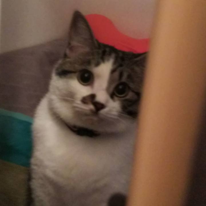 E36aa7d7 9301 4d06 8e66 166a5efe6fdd 1623365260196