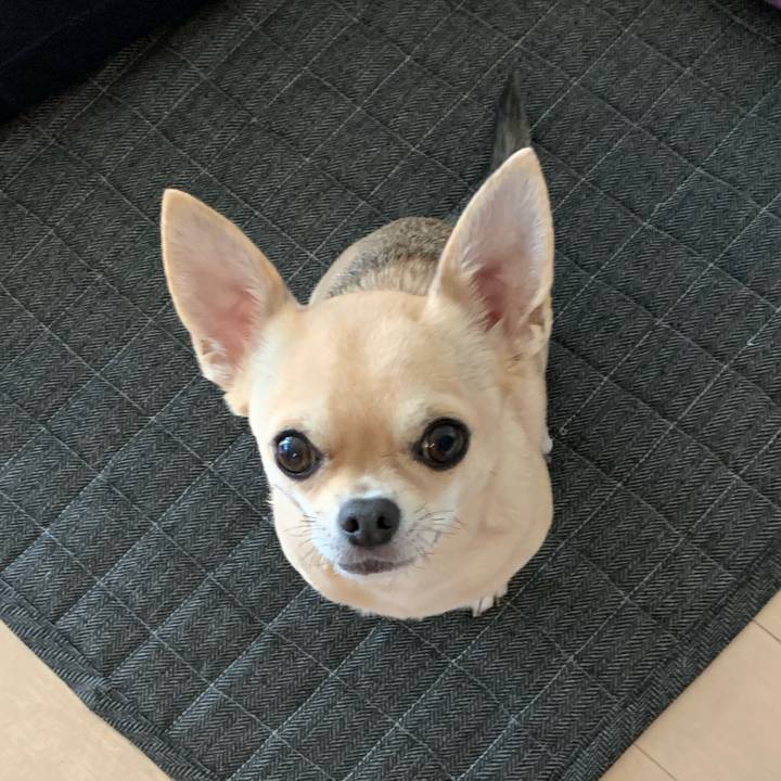 E36aaf51 40b2 4241 a4af 9699ae56e76c 1574557556055