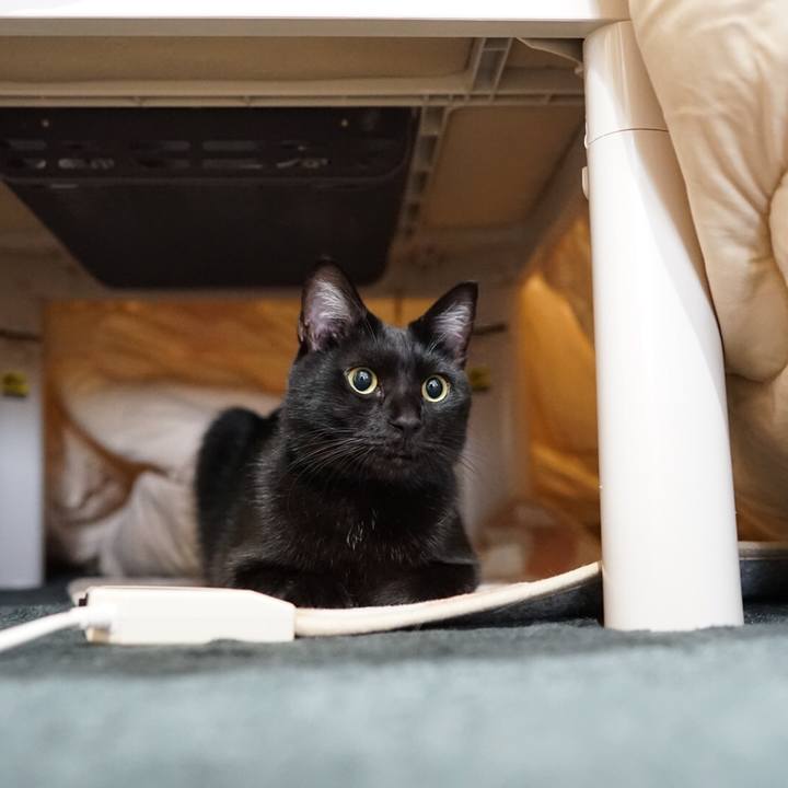 E36acc61 4aa6 4b07 83d6 86a59199dabd 1543535005172