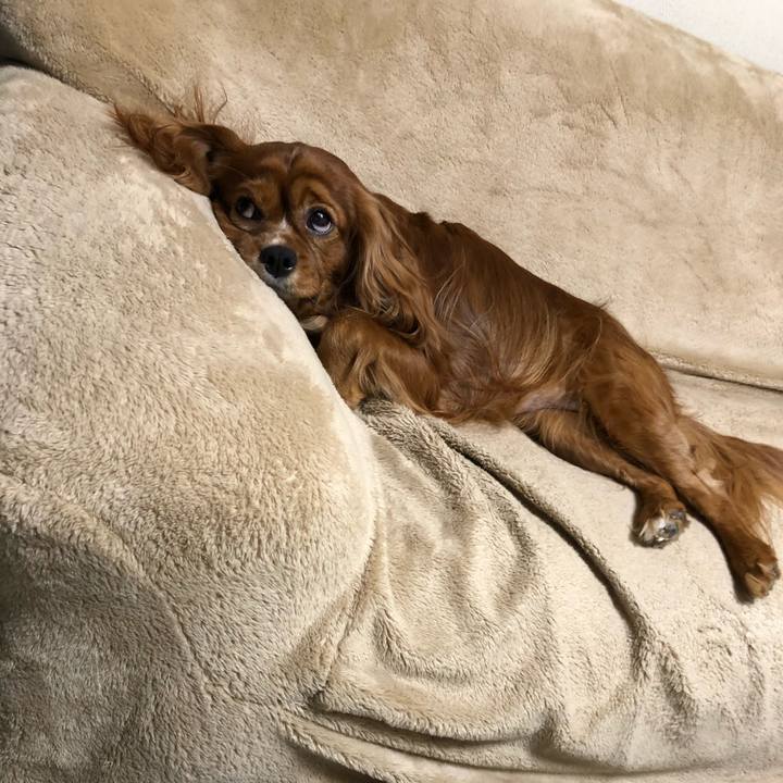 E36b0be3 1ac7 4497 86d2 3165c1bdc500 1604845927144