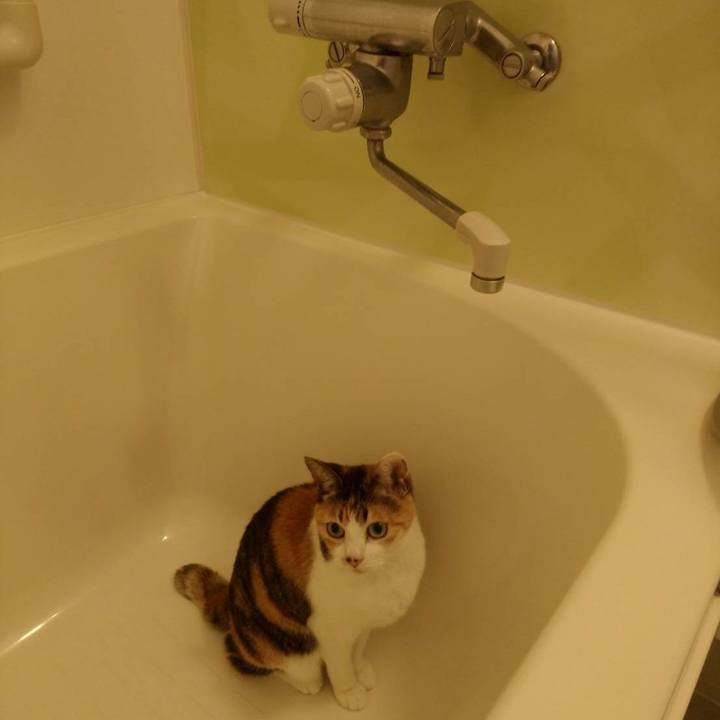 E36b0c2d 2e3a 40b7 98d4 346ee49526b9 1626057013196