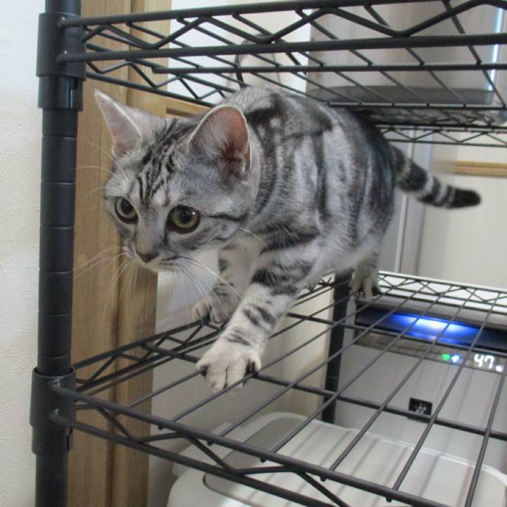 E36b3a7b e8c6 4552 864d 0c174df58ab9 1546598905492