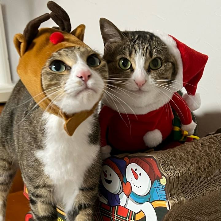 E36b4fd0 7520 417b 82b3 006251f94c29 1766573840782