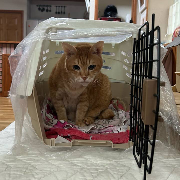 E36b55c7 3d23 4601 81bc 7817807922f2 1679094308732