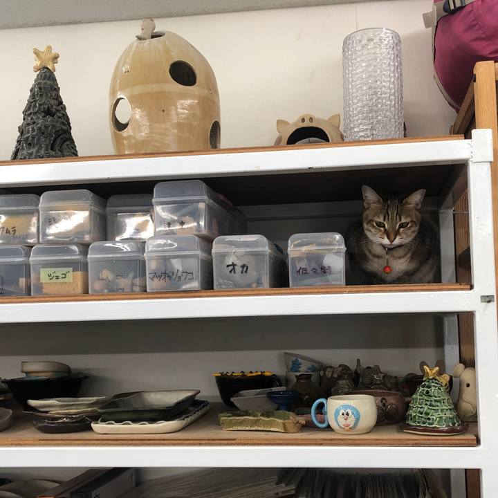 E36b8a58 6648 4afd a393 5c1223cd1f8d 1642568855471