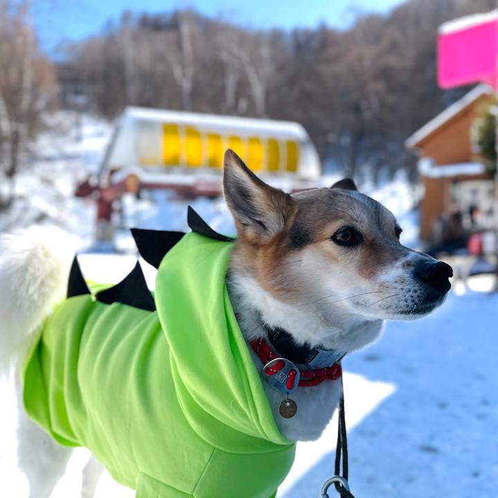 E36bb2c6 800d 444d b897 f0ebd99378ac 1770611908905